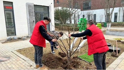3月12日植树节 播种希望 承载梦想
